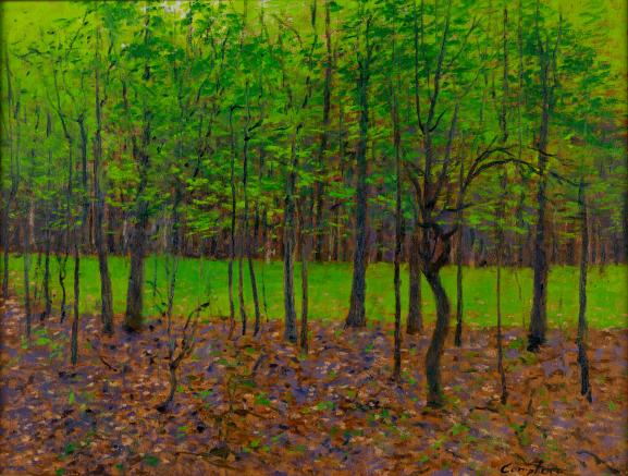 The Peaceful Forest