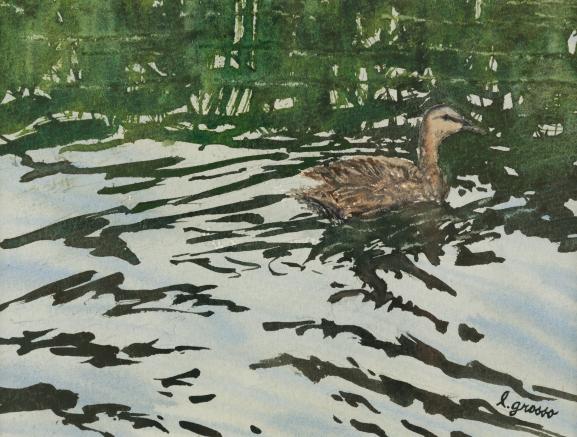 Skimming the Surface