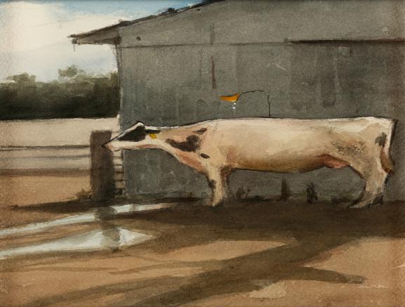 Keeping Cool