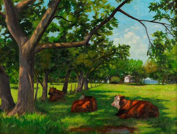 Moo Moo Meadows
