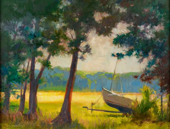 Basking Under Pines